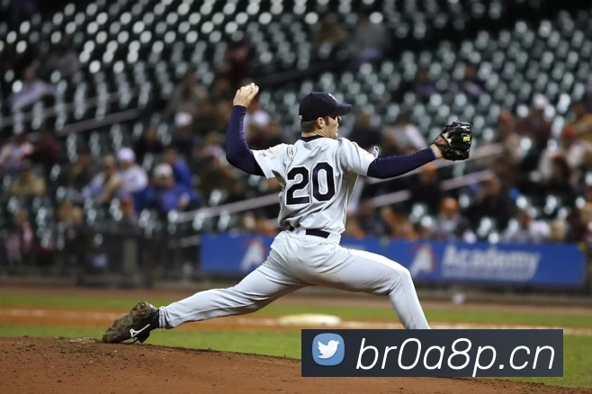 星空体育app直播平台生态图